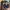 blog content