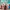 blog content