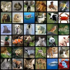 quiz Animals of the world